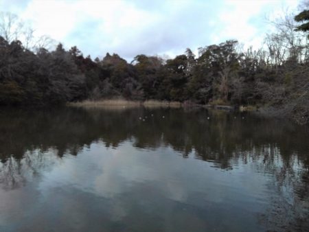 大安トラウトレイク 釣果